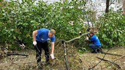 Чинили мебель, развозили еду: южно-сахалинские волонтеры не бросают в беде