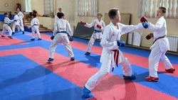 В сентябре в Южно-Сахалинске откроется обновленнная спортшкола восточных единоборств