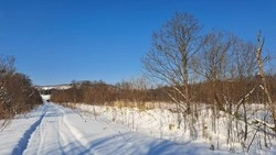Синоптики пообещали 30-градусные морозы в Сахалинской области 21 января
