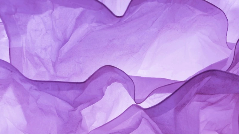 26 марта 2024: какие сегодня праздники отмечают