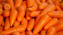 Когда хочется сладостей, но нельзя: рецепт полезных конфет
