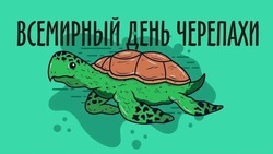 Открытки с Всемирным днем черепахи 2025
