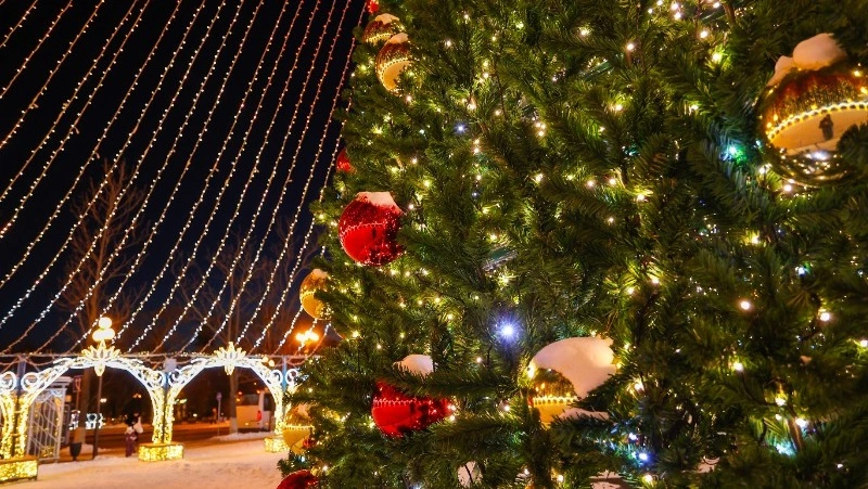 Валерий Лимаренко поздравил жителей Сахалинской области с Новым годом и Рождеством