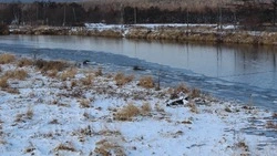 Морозы и небольшой снег ожидаются в Сахалинской области на предстоящей неделе