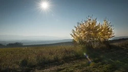 Южный ветер и до + 20 градусов ожидается на Сахалине 16 мая