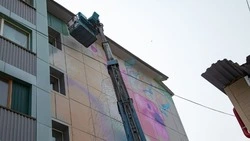 Девочка и птица: новые муралы в Южно-Сахалинске раскрашивают город