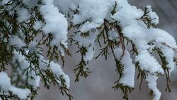Свежий ветер и снег: погода на Сахалине и Курилах 13 февраля