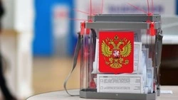 «Чисто и прозрачно»: на Дальнем Востоке обеспечили открытость выборов президента РФ