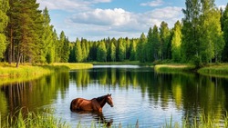 Купальница: что нельзя делать 20 мая 2025 года