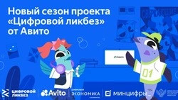 В новом сезоне «Цифрового ликбеза» от Авито учат покупать товары с доставкой и искать подработку