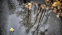 Дождь, гололедица и ветер: прогноз погоды в Сахалинской области на 27 ноября