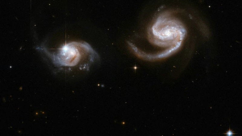 Яркие впечатления Львов и уникальность Весов: гороскоп на 4 июля 2024 года