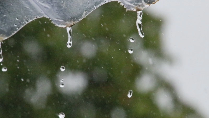 Сильный дождь накроет Сахалин и Курилы 2 августа