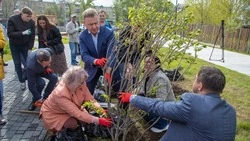 В Южно-Сахалинске появилась аллея Журналистов