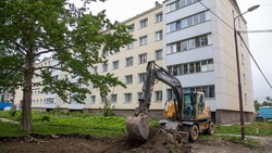 В ходе капитального ремонта двора по улице Науки будут высажены новые деревья