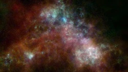 Спонтанные события у Тельцов и решающий шаг Скорпионов: гороскоп на 6 апреля 2025 года
