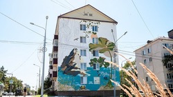 «Система координат» изменит городской ландшафт Южно-Сахалинска