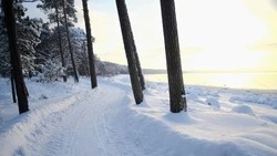 Прогноз погоды на Сахалине с 10 по 16 февраля: повышение температуры и небольшой снег