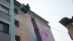 Девочка и птица: новые муралы в Южно-Сахалинске раскрашивают город