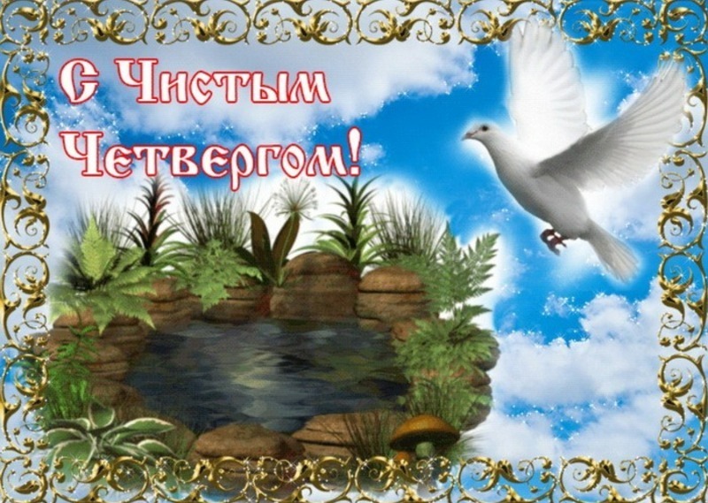 c2acb2ca24a59b22a09d4633c555f89f30bdaeca80ec277c7abc7bc8b8e5.jpeg.jpg
