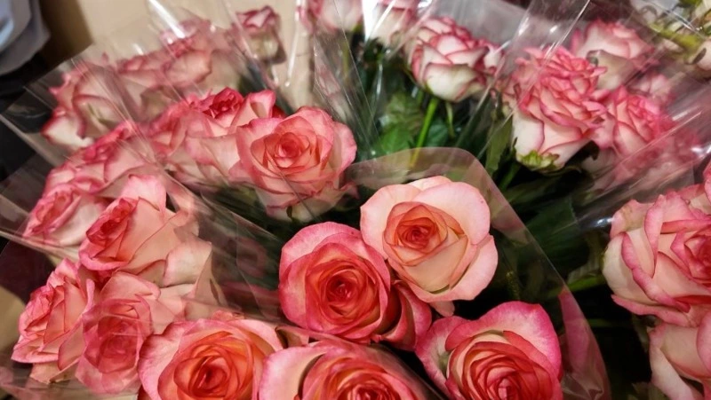 Школа №31 Южно-Сахалинска отметила юбилей