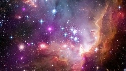 Кому следует избегать финансовых авантюр: финансовый гороскоп на 2 — 8 сентября