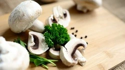 Жульен из сезонных грибов и курицей — рецепт на скорую руку