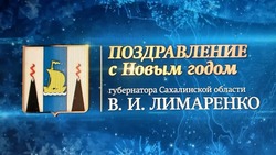 Валерий Лимаренко поздравляет сахалинцев и курильчан с наступающим 2025 годом