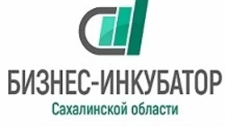 С 2019 года бизнес-инкубатор Сахалинской области помогает начинающим предпринимателям