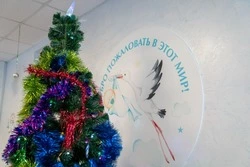 В Южно-Сахалинске за первые три дня января на свет появились 17 малышей