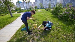 Летом в Южно-Сахалинске для подростков открыто более 1800 вакансий