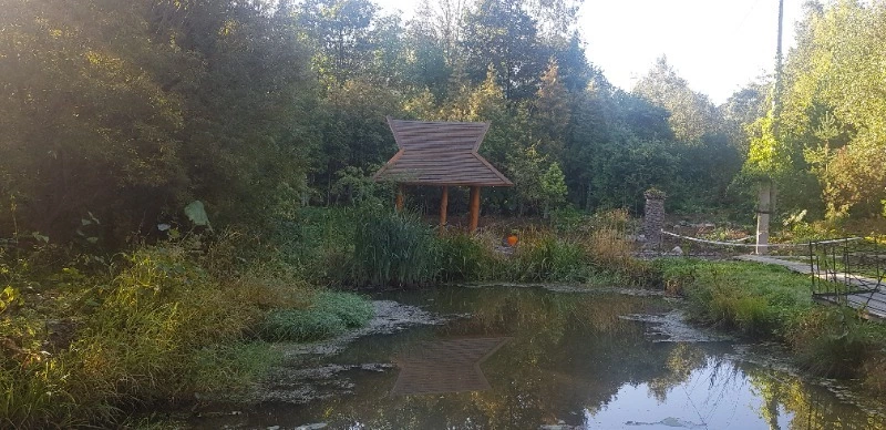 В ботаническом саду на Сахалине идет реконструкция 