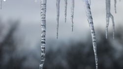 Народные приметы на 8 марта 2024: что строго нельзя делать в этот день