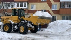 Валерий Лимаренко оценил ход расчистки дворов в Южно-Сахалинске