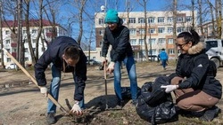 22 апреля в Южно-Сахалинске пройдет масштабный общегородской субботник