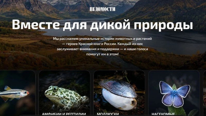 В России стартовало голосование по выбору топ-100 животных из краснокнижных видов