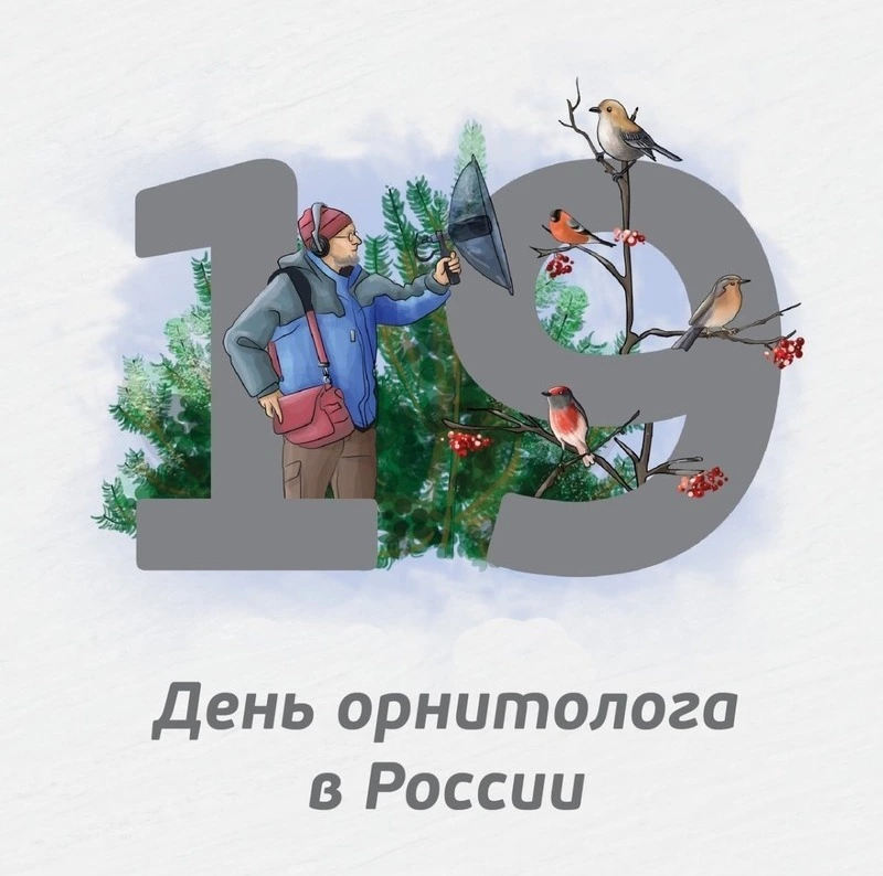 Картинки на День орнитолога 2025