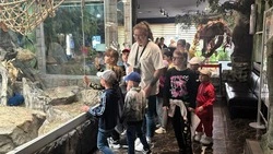 Южно-сахалинские активисты пригласили школьников в зоопарк и в приют для бездомных животных