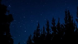 Критика Овнов и решительность Стрельцов: гороскоп на 17 октября 2024 года