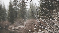 Мороз и порывистый ветер ожидаются на Сахалине 18 февраля