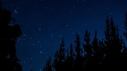Конфликты Тельцов и убытки Скорпионов: гороскоп на 29 октября 2024 года