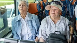 Заряд позитива: 200 южносахалинцев старшего поколения отправились на пляж «Солнечный»