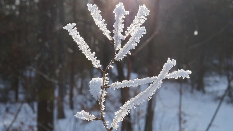 Церковный праздник 1 февраля 2024: что нельзя делать в этот день, приметы