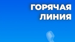 На Сахалине проводят горячую линию помощи пациентам, перенёсшим инсульты и инфаркты