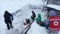 «ВьЮжный десант» во время сильного циклона на Сахалине помогал людям и животным 