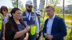 Сергей Надсадин принял решение максимально сохранить в Южно-Сахалинске зеленую зону 