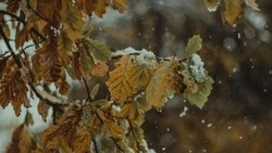 Снег и понижение температур: прогноз погоды в Сахалинской области на неделю с 9 по 15 ноября 