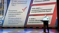 Участники Съезда народных представителей одобрили Народную программу развития Сахалинской области