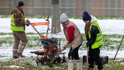 Готовь цветы к лету в холода: улицы Южно-Сахалинска в 2025 году украсят 80 тысяч тюльпанов