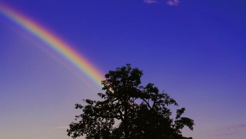 Устинов день: что нельзя делать 14 июня 2025 года